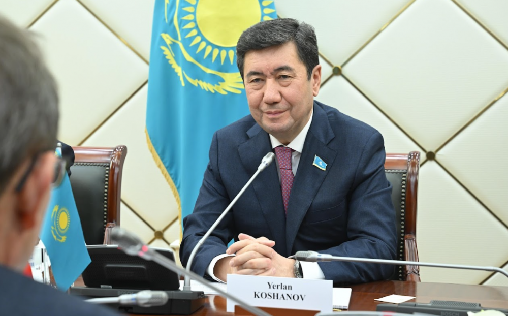 Мәжіліс спикері Аустрия Парламентінің төменгі палатасы төрағасының орынбасарын қабылдады