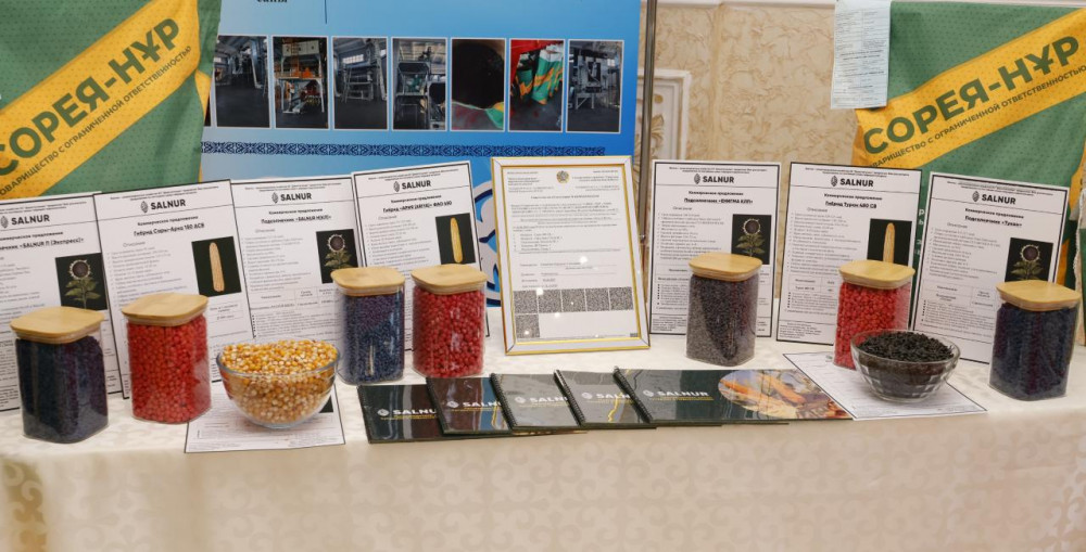 Жетісу облысында ауыл шаруашылығы өнімдерінің өндірісі 11%-ға артты