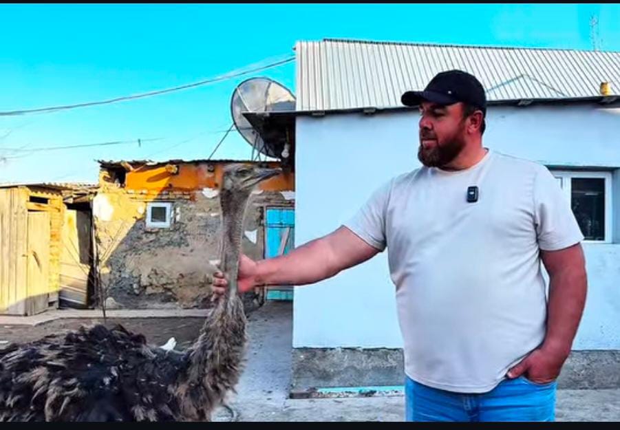 Еңбек, кәсіп, нәтиже: өмірін еңбекпен өрген жандар