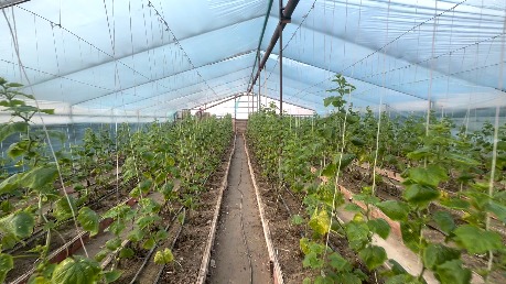 Еңбектің күші – отбасының тірегі