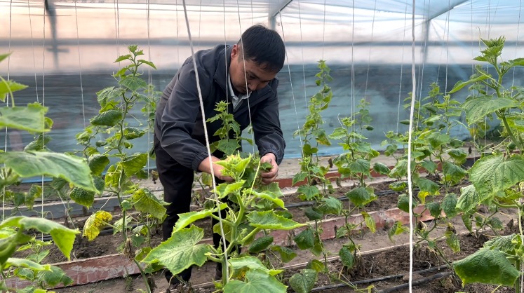 Еңбектің күші – отбасының тірегі