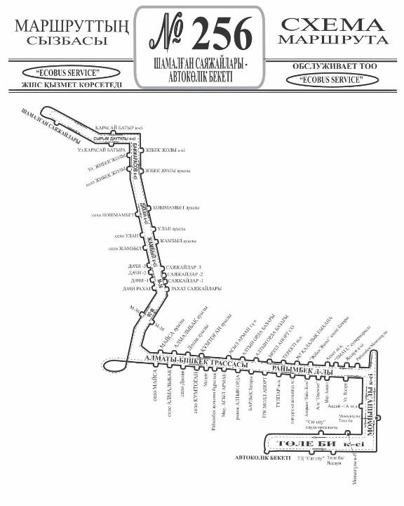 Алматыда қала маңына қатынайтын екі жаңа автобус бағыты ашылды