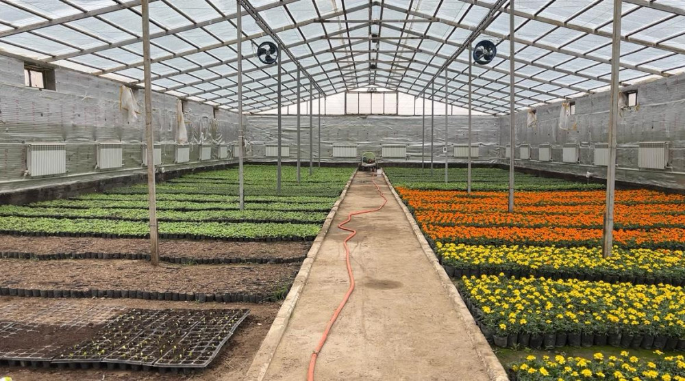 Несие алып, тағдырыңды қалай өзгертуге болады