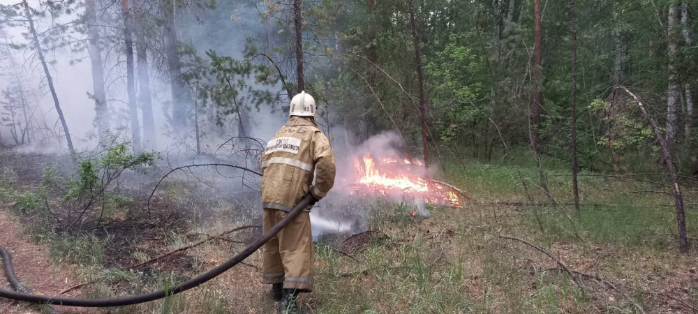 Абай облысындағы өрт: Өртті сөндіруге 1000-нан астам адам мен 252 бірлік техника жұмылдырылған