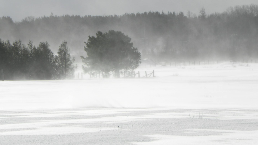 Әлемде: Лос-Анджелесте 400 адам қамалды, Газада қаза тапқандар саны 55 мыңнан асты