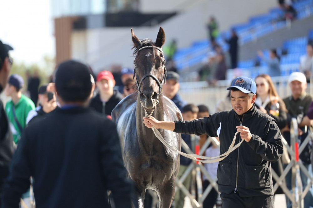 Жеңіс тойындағы тарту