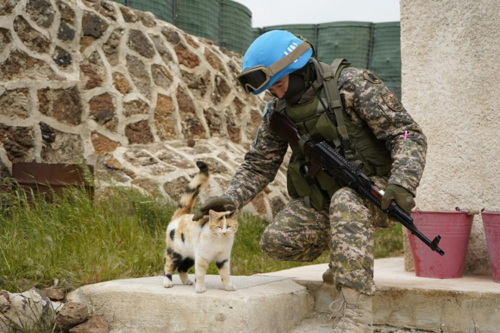 Әскери қызметшілер БҰҰ-ның бітімгерлік миссияларына қатысты