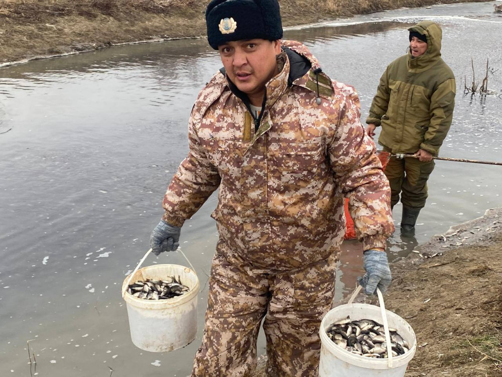 Жайық-Каспий бассейнінде балық шабақтарының қырылуы алдын алынды