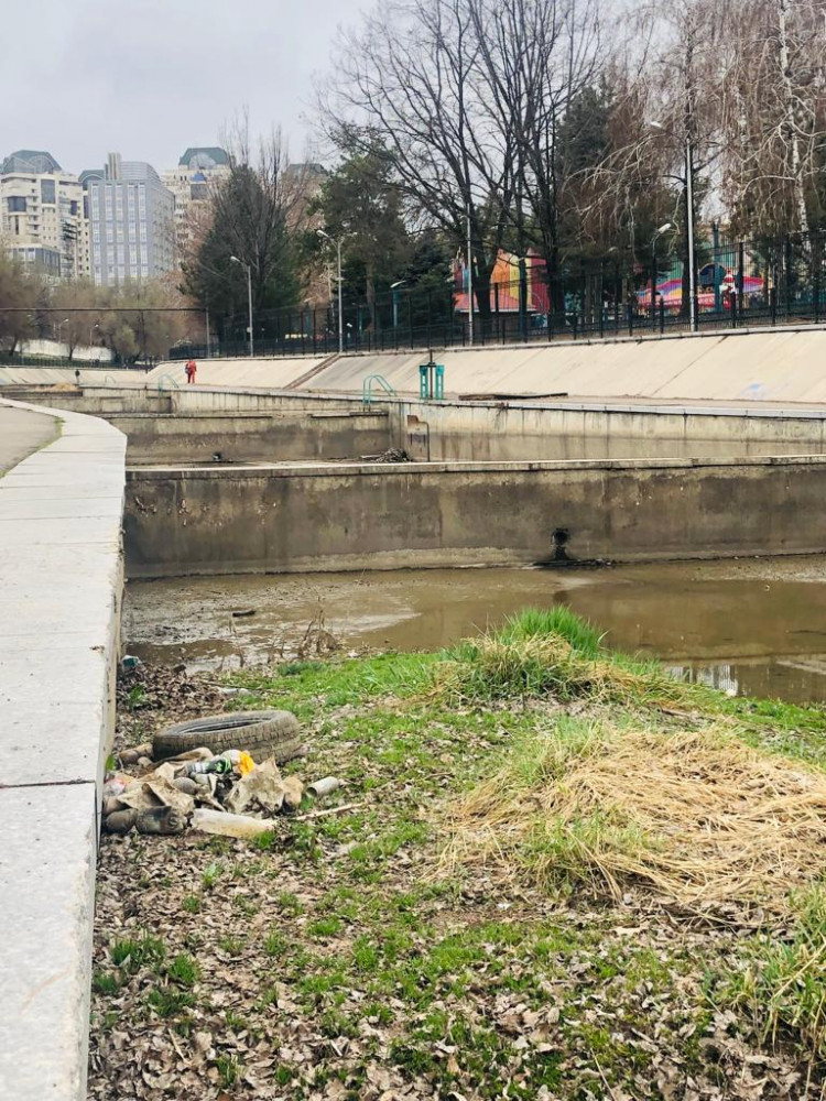 Алматылықтар Үлкен Алматы өзені жағалауының жағдайына алаңдаулы.