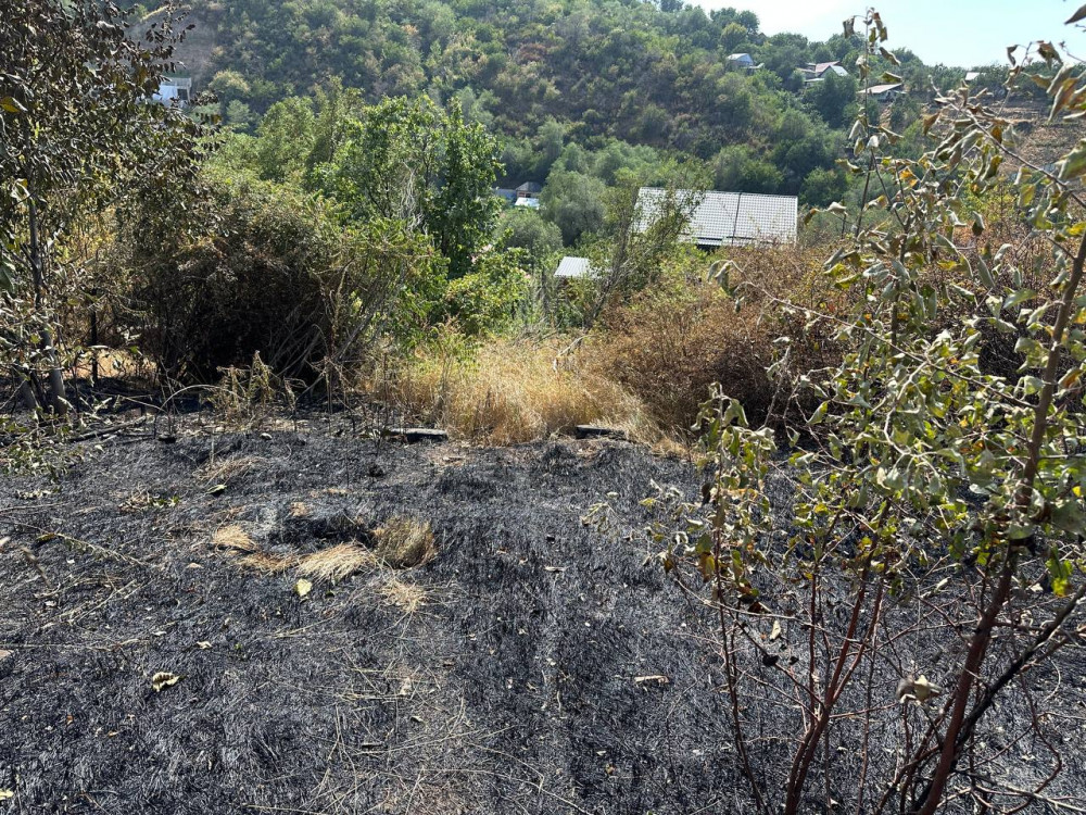 Алматыда Кеңсай-1 аумағындағы ірі өрт: зираттар өртенді ме?