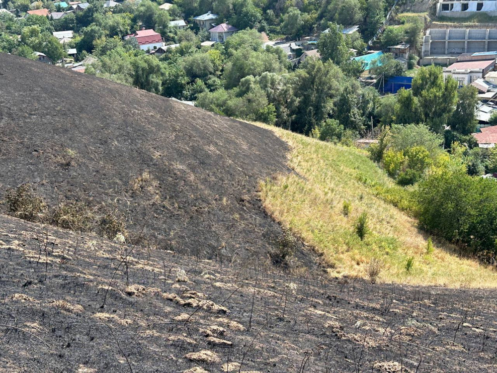 Алматыда Кеңсай-1 аумағындағы ірі өрт: зираттар өртенді ме?