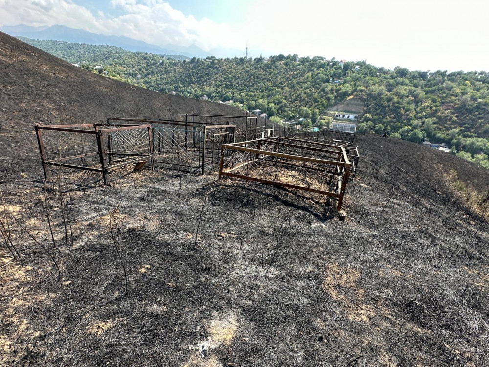 Алматыда Кеңсай-1 аумағындағы ірі өрт: зираттар өртенді ме?