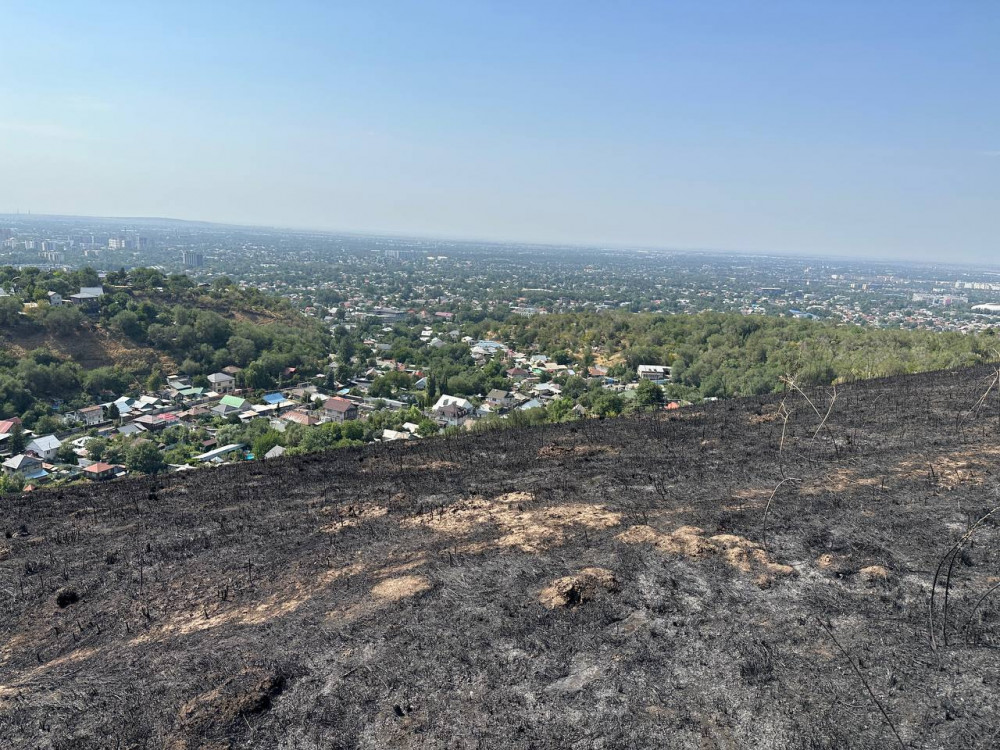 Алматыда Кеңсай-1 аумағындағы ірі өрт: зираттар өртенді ме?
