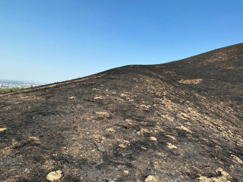 Алматыда Кеңсай-1 аумағындағы ірі өрт: зираттар өртенді ме?