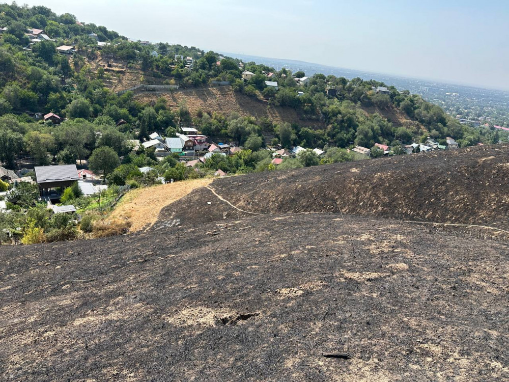 Алматыда Кеңсай-1 аумағындағы ірі өрт: зираттар өртенді ме?