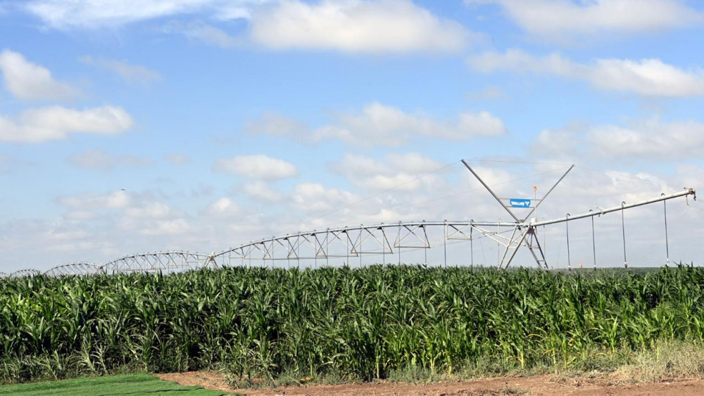 Қызылорда облысында суару науқанына бақылау күшейтілуде