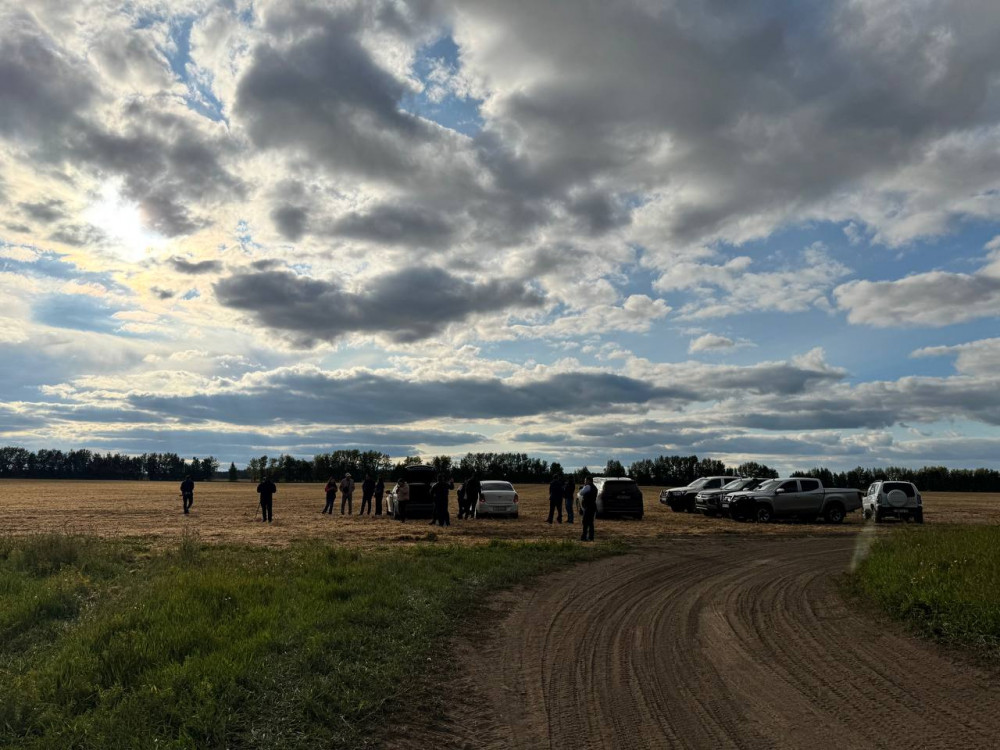 Алтын дән мен сары күнбағыс: Биылғы егіннен не күтеміз?