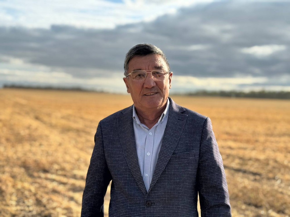 Алтын дән мен сары күнбағыс: Биылғы егіннен не күтеміз?