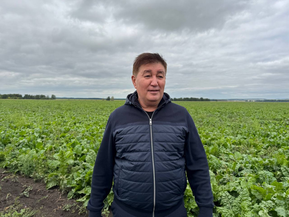 Алтын дән мен сары күнбағыс: Биылғы егіннен не күтеміз?