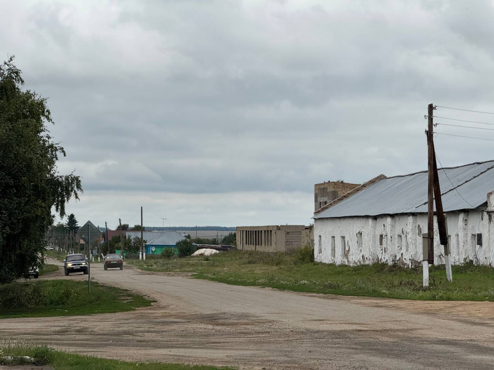 Алтын дән мен сары күнбағыс: Биылғы егіннен не күтеміз?