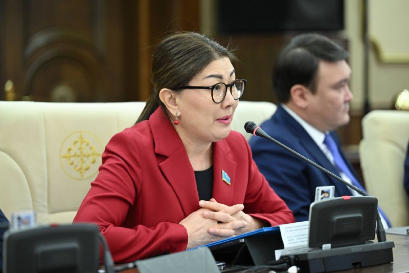 2025 жылы Мәжіліс 100 заң қабылдады