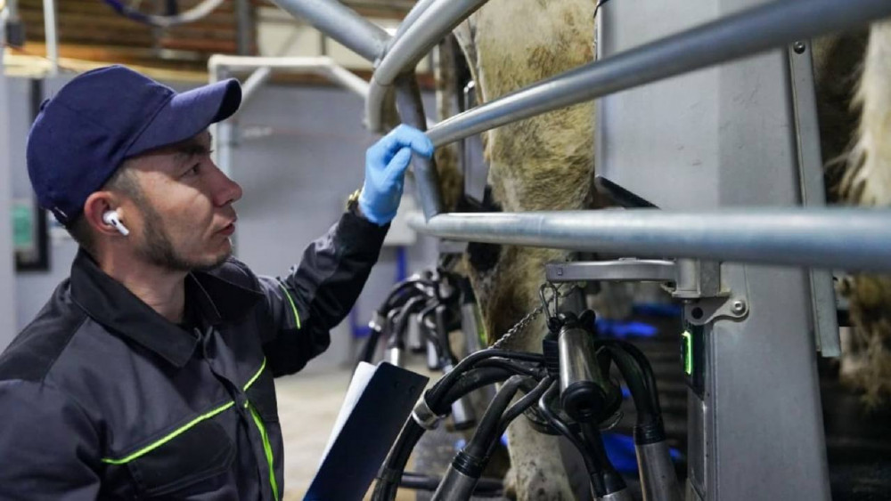 Қазақстанда асыл тұқымды мал шаруашылығын дамыту қолға алынды