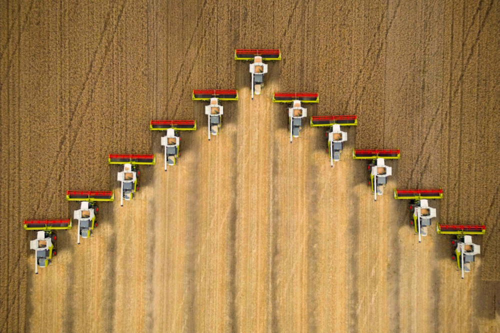 Қара адам анорексиялық әйелді трахает.