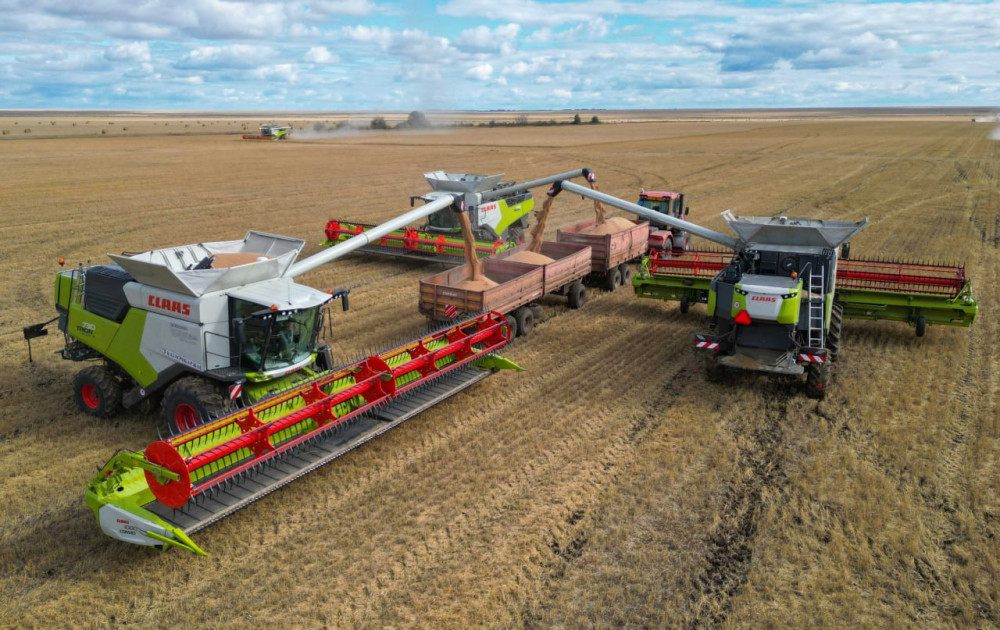 Ақмола облысындағы егін даласы: Биылғы науқанның табысты қадамдары