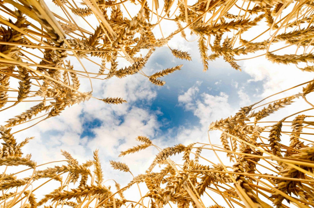 Анальды секс үшін позициялар