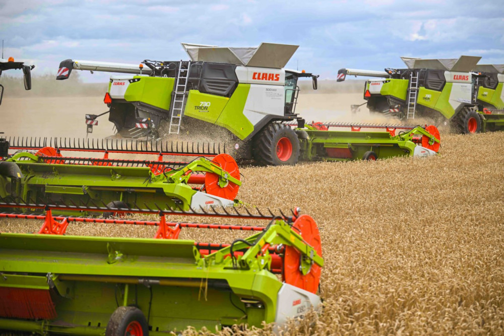 Ақмола облысындағы егін даласы: Биылғы науқанның табысты қадамдары