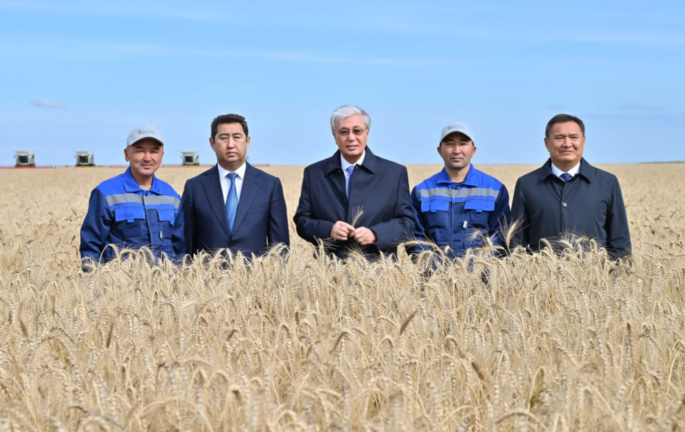 Ақмола облысындағы егін даласы: Биылғы науқанның табысты қадамдары