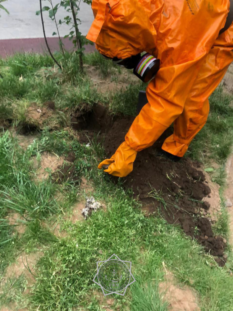 Астанада аралар балалар алаңына ұя салған