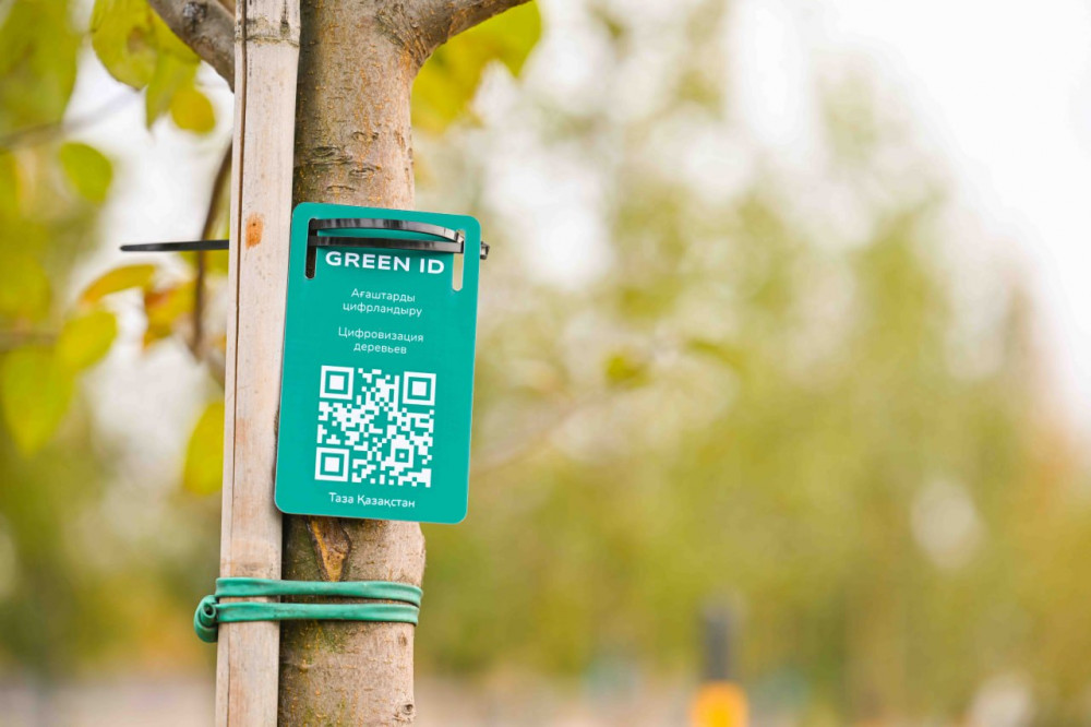 "Таза Қазақстан": Мемлекет басшысы жастармен бірге ағаш екті