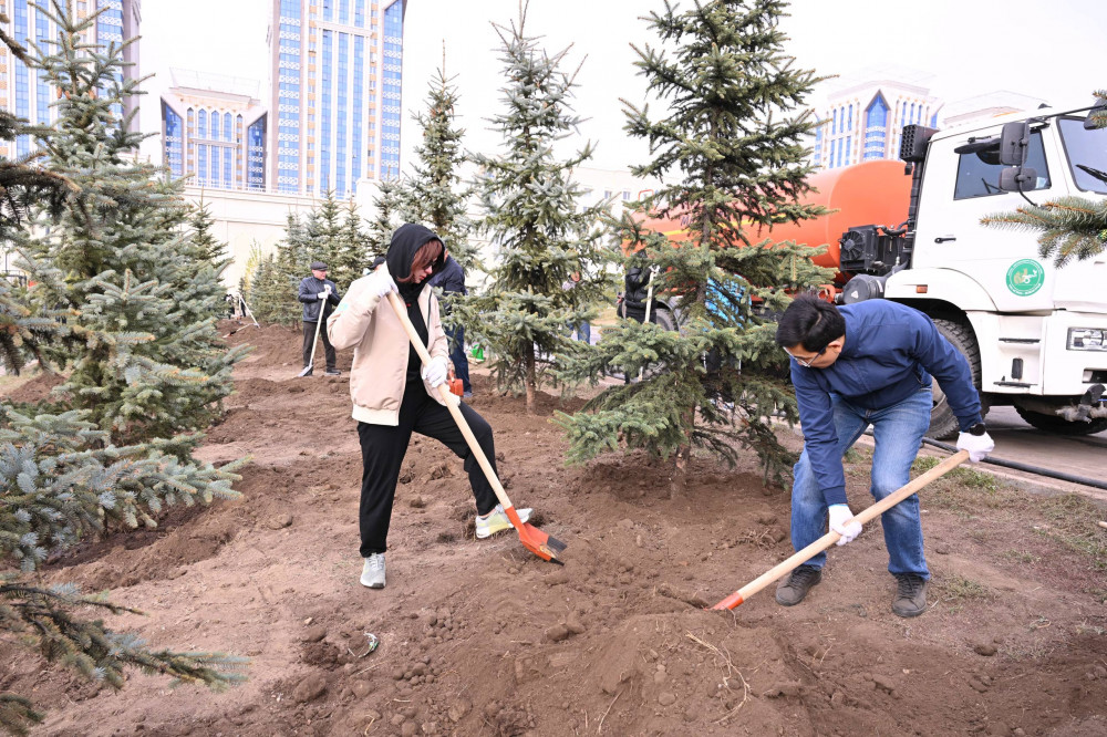 Мәжіліс депутаттары Астанада 140 түп ағаш отырғызды