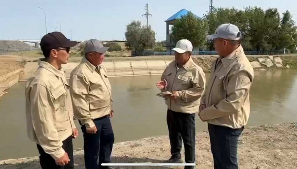 Профессионалдар: Су мамандары әулеті