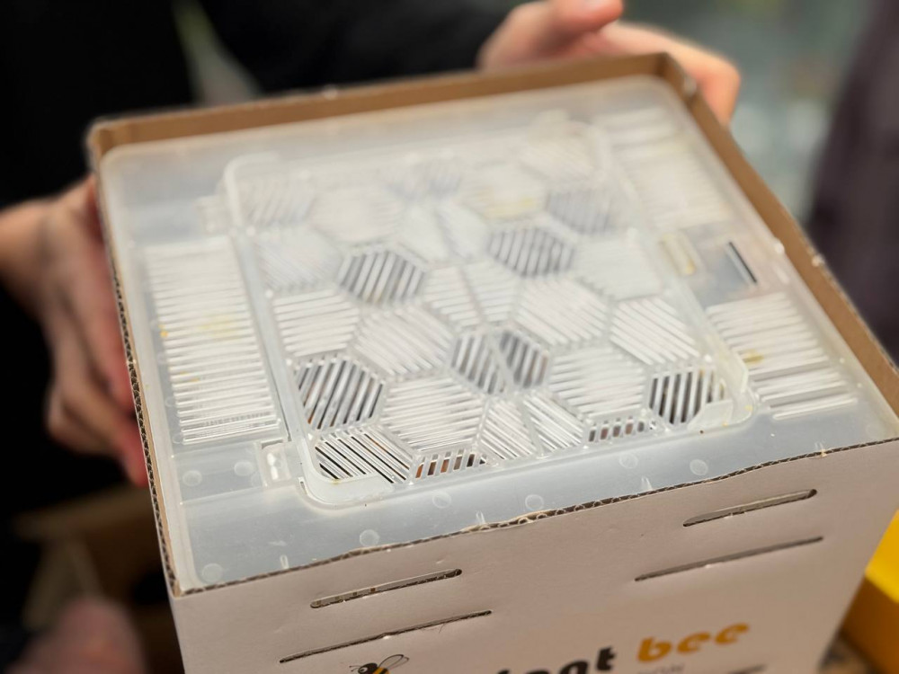 Этникалық қазақ қызанақ өсірудің технологиясымен таңғалдырды