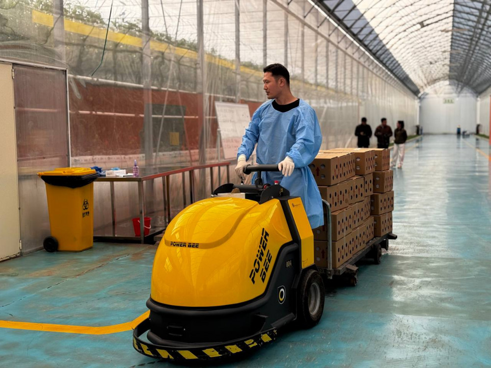 Этникалық қазақ қызанақ өсірудің технологиясымен таңғалдырды