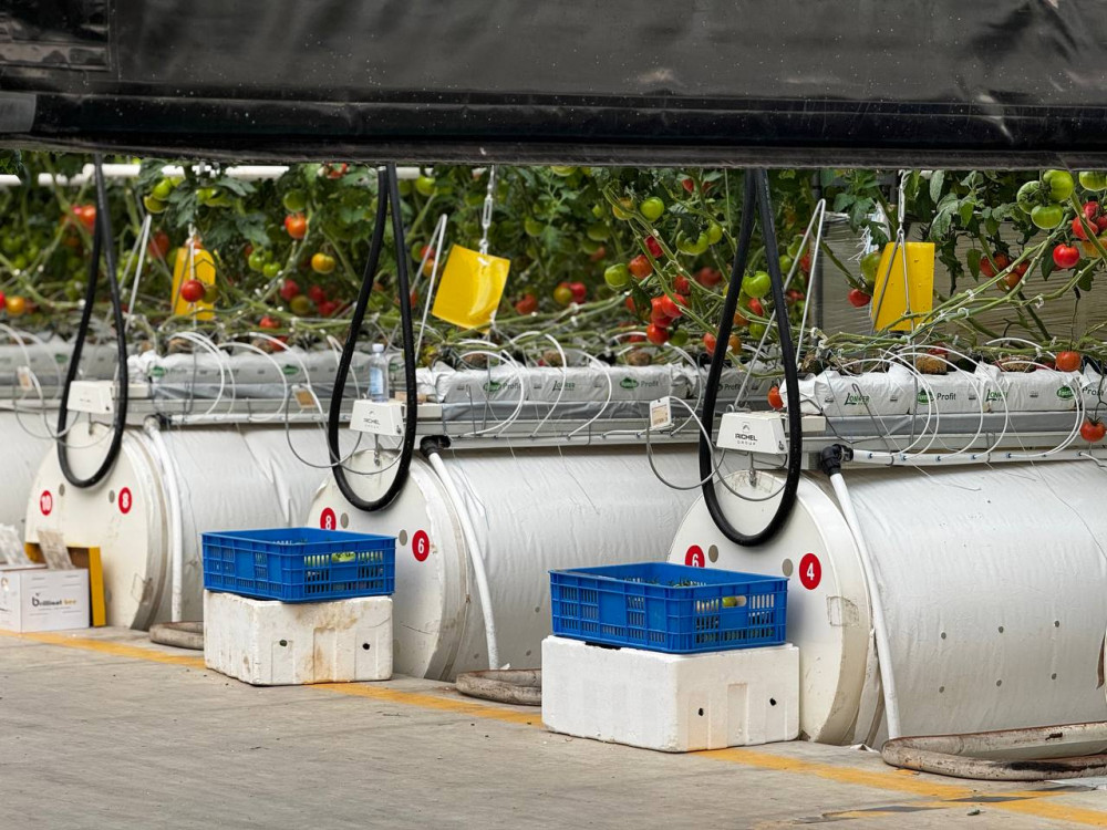 Қарудың эротикалық тұсқағазы