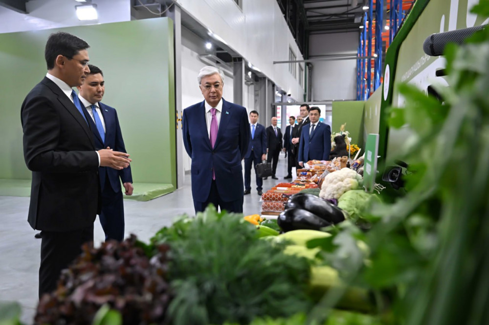 Әуежай, саябақ және конгресс-холл: Тоқаев Шымкенттегі бірқатар нысанды аралап көрді