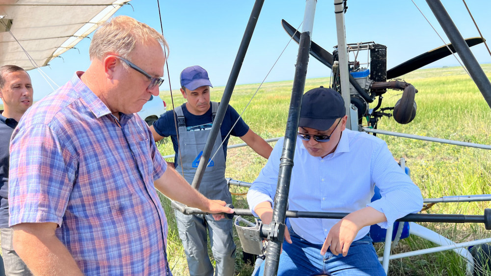 Өңірлердегі шегірткенің көбеюіне қатысты жағдай Үкімет  бақылауында