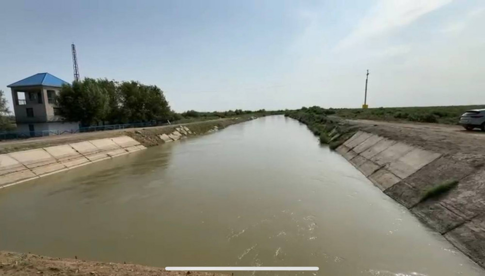 Профессионалдар: Су мамандары әулеті