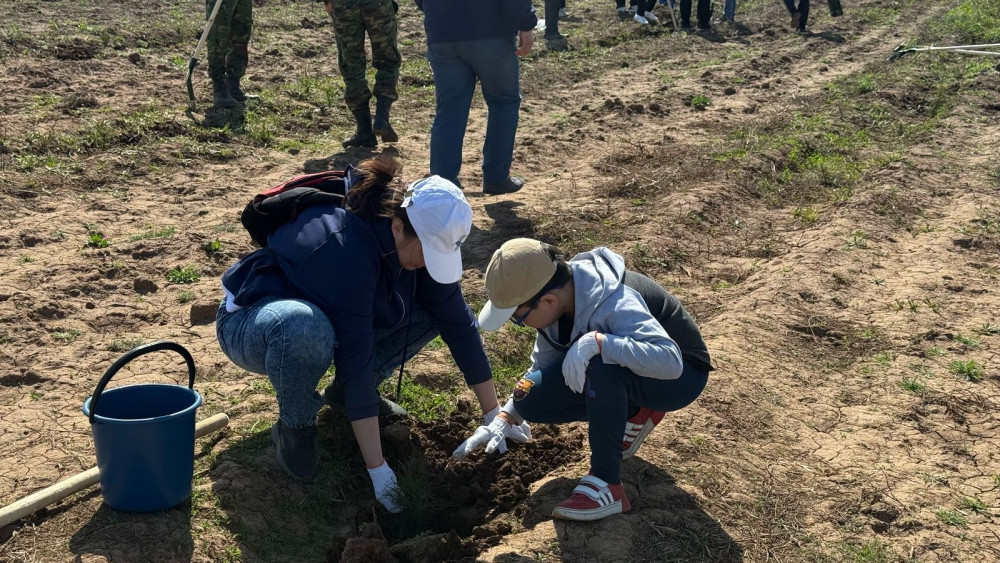 Бүгін Бүкілқазақстандық орман отырғызу күні
