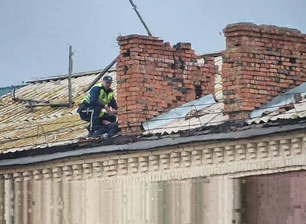 Шашты письки бар әдемі қыздар фотоларды ашады Мен Ирканы жатқым келеді