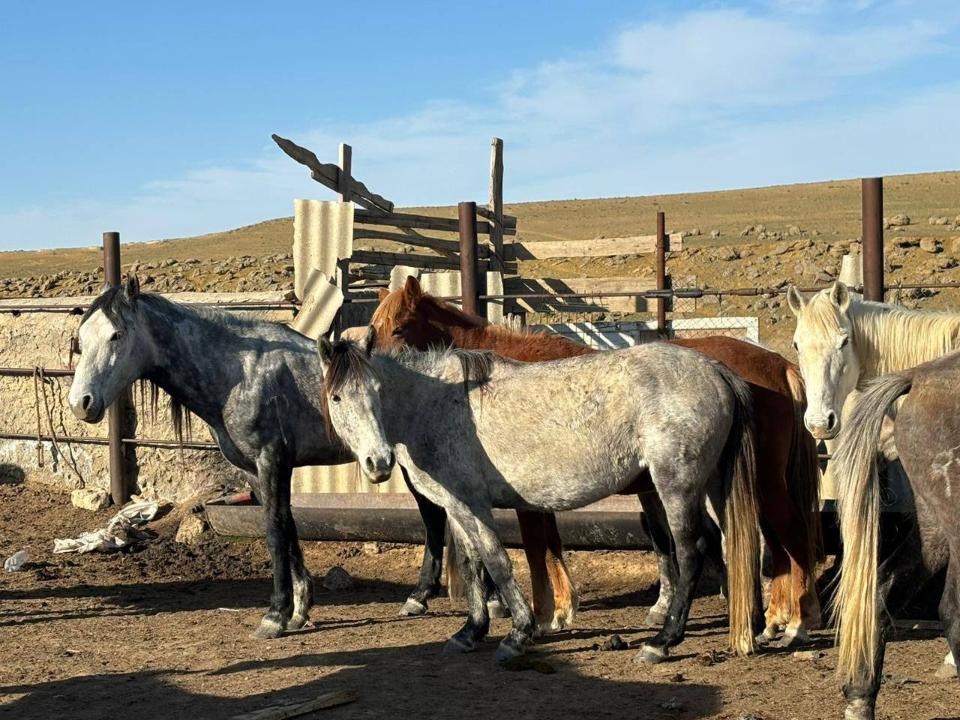 Маңғыстау ауданында «Ауыл аманаты» жобасы тиімді жүзеге асырылуда