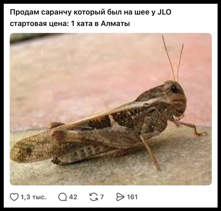 Джей Лоның концертіне шегіртке де "келді"