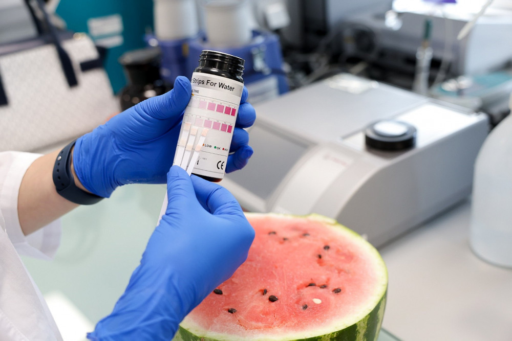 Қарбызда "химия" бар ма? BAQ.KZ зерттеп көрді