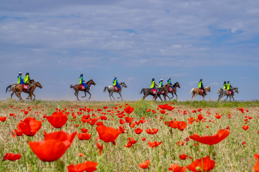 Ералы Тоғжанов жаңа қызметке тағайындалды