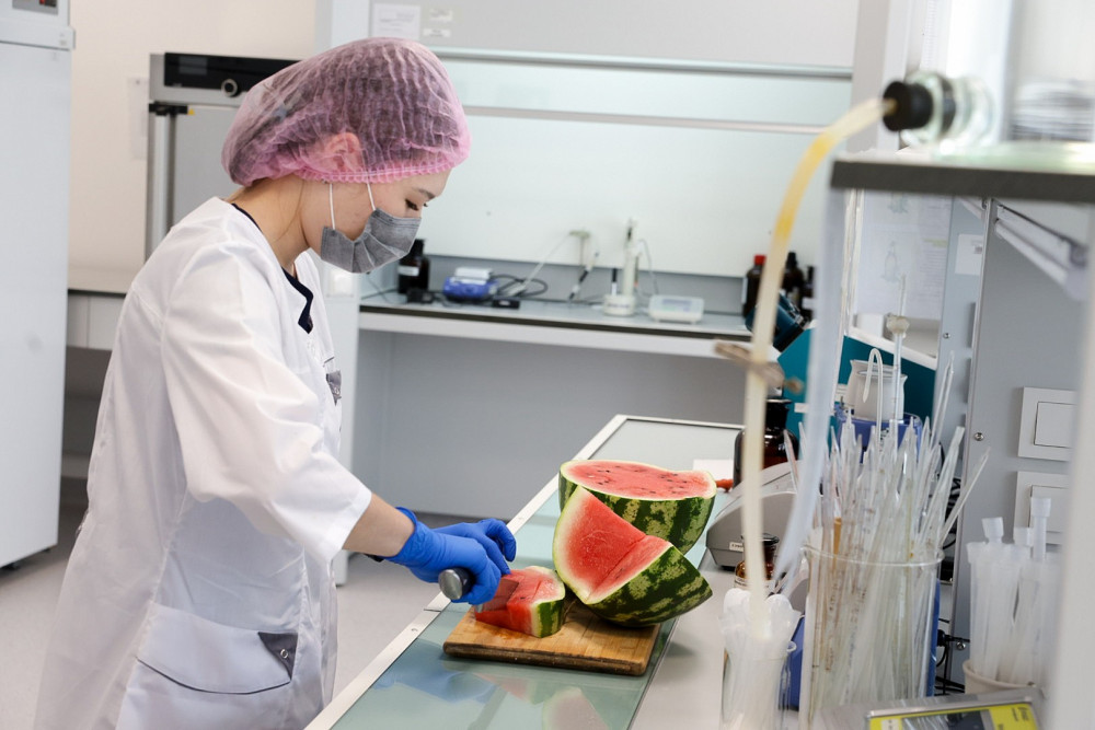 Қарбызда "химия" бар ма? BAQ.KZ зерттеп көрді