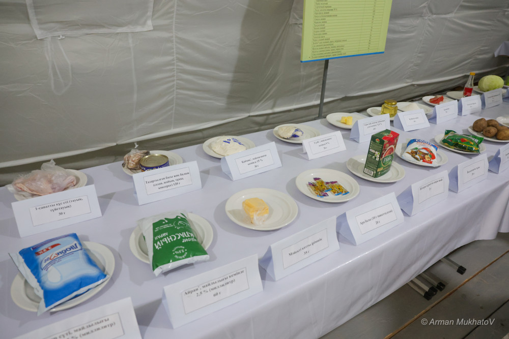 Монша, асхана және жаттығу: Шеруге келген әскерилерге қандай жағдай жасалған