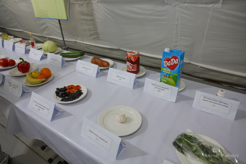 Монша, асхана және жаттығу: Шеруге келген әскерилерге қандай жағдай жасалған